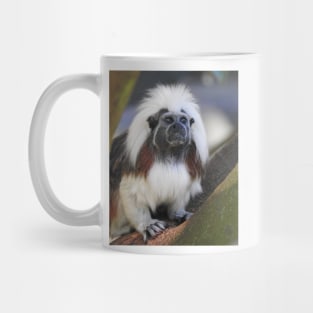 Cotton-top Tamarin Mug